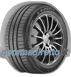 Firemax FM601