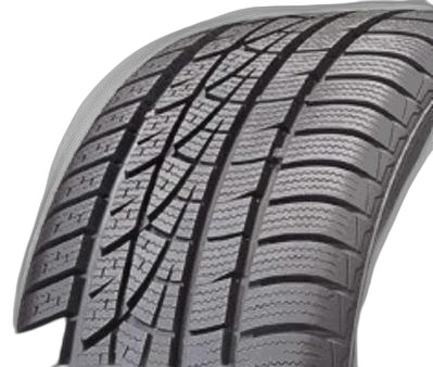 Hankook Winter i*cept evo W310B