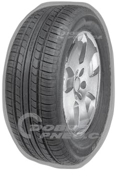 Minerva F109