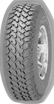 Nexen Roadian MT