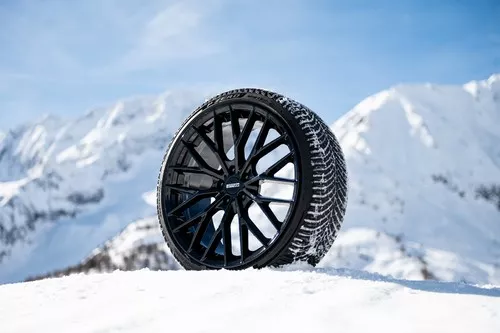 Pirelli P Zero Winter 2 - 9