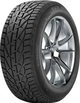 Dunlop Winter