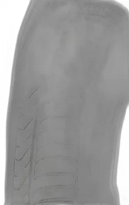 Pirelli Cinturato P7 C2 SUV